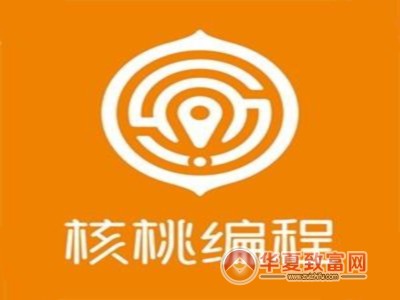 核桃少儿编程加盟